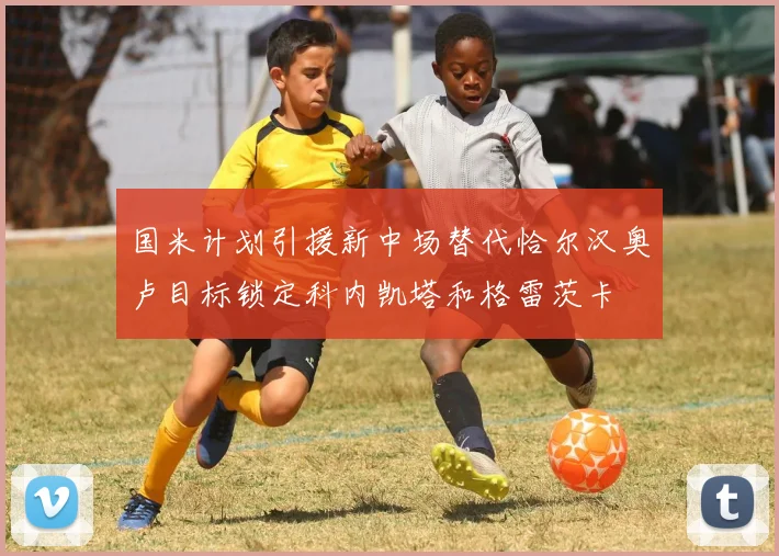 国米计划引援新中场替代恰尔汉奥卢目标锁定科内凯塔和格雷茨卡
