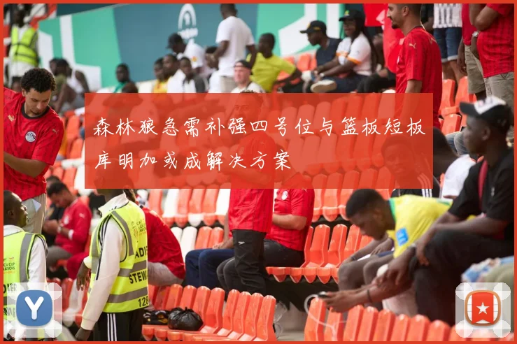 森林狼急需补强四号位与篮板短板库明加或成解决方案